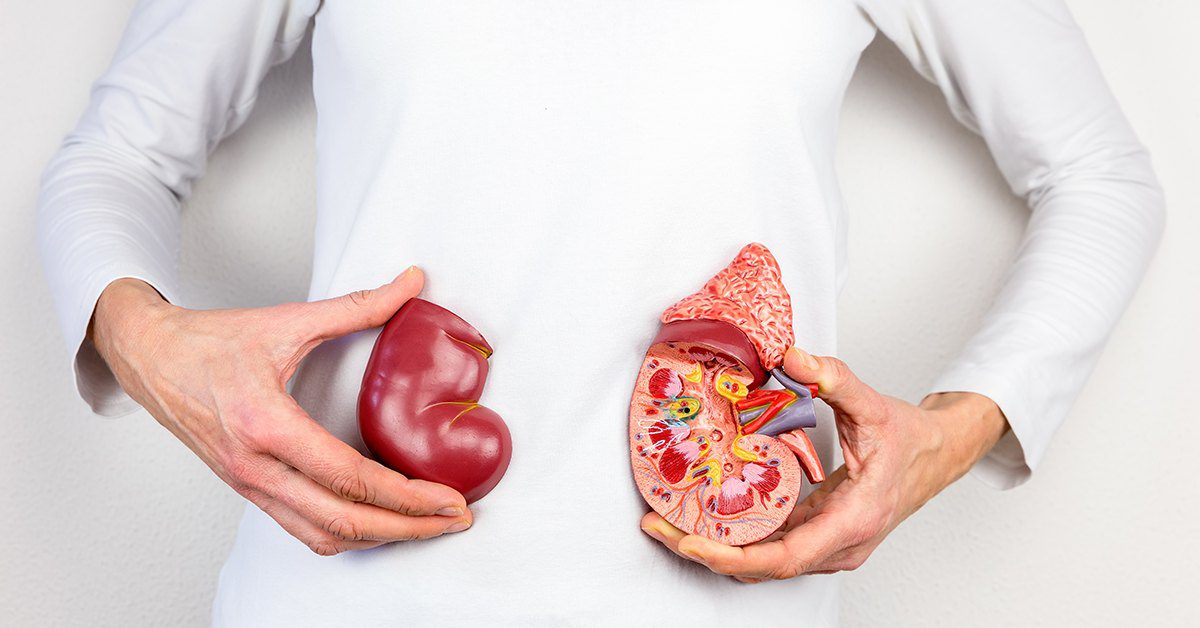 Kidney Disease: Causes, Symptoms, and Treatment