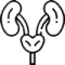 paediatric-nephrology-icon paediatric-nephrology-icon